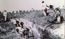 Historic photo of trenching during field research